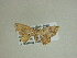  (Eois Sullivan0997 - 13-CRBS-146)  @13 [ ] No Rights Reserved (2013) James Sullivan Research Collection of J. B. Sullivan