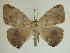  ( - 13-CRBS-152)  @11 [ ] No Rights Reserved (2013) James Sullivan Research Collection of J. B. Sullivan