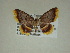  ( - 13-CRBS-164)  @14 [ ] No Rights Reserved (2013) James Sullivan Research Collection of J. B. Sullivan