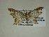  ( - 13-CRBS-171)  @13 [ ] No Rights Reserved (2013) James Sullivan Research Collection of J. B. Sullivan