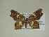  ( - 13-CRBS-173)  @14 [ ] No Rights Reserved (2013) James Sullivan Research Collection of J. B. Sullivan