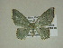  ( - 13-CRBS-176)  @13 [ ] No Rights Reserved (2013) James Sullivan Research Collection of J. B. Sullivan