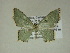  ( - 13-CRBS-177)  @13 [ ] No Rights Reserved (2013) James Sullivan Research Collection of J. B. Sullivan