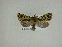  ( - 13-CRBS-200)  @13 [ ] No Rights Reserved (2013) James Sullivan Research Collection of J. B. Sullivan