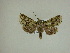  ( - 13-CRBS-211)  @13 [ ] No Rights Reserved (2013) James Sullivan Research Collection of J. B. Sullivan