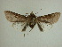  ( - 13-CRBS-216)  @12 [ ] No Rights Reserved (2013) James Sullivan Research Collection of J. B. Sullivan