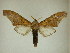  ( - 13-CRBS-301)  @13 [ ] No Rights Reserved (2013) James Sullivan Research Collection of J. B. Sullivan