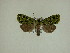  ( - 13-CRBS-376)  @13 [ ] No Rights Reserved (2013) James Sullivan Research Collection of J. B. Sullivan