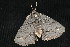  ( - 05-CTATBI-0080)  @13 [ ] CreativeCommons - Attribution (2010) Unspecified Centre for Biodiversity Genomics