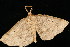  ( - 05-CTATBI-0165)  @13 [ ] CreativeCommons - Attribution (2010) Unspecified Centre for Biodiversity Genomics