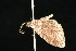  ( - 05-CTATBI-0203)  @12 [ ] CreativeCommons - Attribution (2010) Unspecified Centre for Biodiversity Genomics