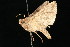  ( - 05-CTATBI-0239)  @13 [ ] CreativeCommons - Attribution (2010) Unspecified Centre for Biodiversity Genomics