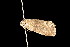  ( - 05-CTATBI-0293)  @13 [ ] CreativeCommons - Attribution (2010) Unspecified Centre for Biodiversity Genomics