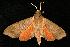  ( - 06-FLOR-0228)  @13 [ ] CreativeCommons - Attribution (2010) Unspecified Centre for Biodiversity Genomics
