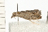  ( - 08-QLDLI-049)  @12 [ ] CreativeCommons - Attribution (2008) Unspecified Centre for Biodiversity Genomics