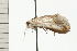  ( - 08-QLDLI-134)  @13 [ ] CreativeCommons - Attribution (2008) Unspecified Centre for Biodiversity Genomics