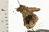  ( - 08-QLDLI-140)  @13 [ ] CreativeCommons - Attribution (2008) Unspecified Centre for Biodiversity Genomics
