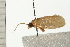  ( - 08-QLDLI-158)  @12 [ ] CreativeCommons - Attribution (2008) Unspecified Centre for Biodiversity Genomics