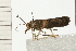  ( - 08-QLDLI-159)  @12 [ ] CreativeCommons - Attribution (2008) Unspecified Centre for Biodiversity Genomics