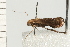  ( - 08-QLDLI-177)  @13 [ ] CreativeCommons - Attribution (2008) Unspecified Centre for Biodiversity Genomics