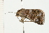  ( - 08-QLDLI-198)  @12 [ ] CreativeCommons - Attribution (2008) Unspecified Centre for Biodiversity Genomics
