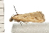  ( - 08-QLDLI-212)  @12 [ ] CreativeCommons - Attribution (2008) Unspecified Centre for Biodiversity Genomics