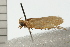  ( - 08-QLDLI-251)  @12 [ ] CreativeCommons - Attribution (2008) Unspecified Centre for Biodiversity Genomics
