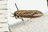  ( - 08-QLDLI-258)  @13 [ ] CreativeCommons - Attribution (2008) Unspecified Centre for Biodiversity Genomics