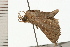  ( - 08-QLDLI-304)  @13 [ ] CreativeCommons - Attribution (2008) Unspecified Centre for Biodiversity Genomics