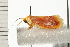  ( - 08-QLDLI-312)  @12 [ ] CreativeCommons - Attribution (2008) Unspecified Centre for Biodiversity Genomics