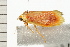  ( - 08-QLDLI-315)  @12 [ ] CreativeCommons - Attribution (2008) Unspecified Centre for Biodiversity Genomics