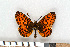  ( - NHMO-06001)  @13 [ ] Unspecified (default): All Rights Reserved  Unspecified Unspecified