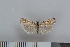  ( - NHMO-06004)  @13 [ ] Unspecified (default): All Rights Reserved  Unspecified Unspecified
