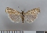  ( - NHMO-06004)  @13 [ ] Unspecified (default): All Rights Reserved  Unspecified Unspecified