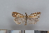  ( - NHMO-06009)  @13 [ ] Unspecified (default): All Rights Reserved  Unspecified Unspecified