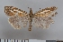  ( - NHMO-06009)  @13 [ ] Unspecified (default): All Rights Reserved  Unspecified Unspecified