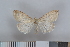  ( - NHMO-06010)  @14 [ ] Unspecified (default): All Rights Reserved  Unspecified Unspecified