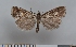  ( - NHMO-06096)  @12 [ ] Unspecified (default): All Rights Reserved  Unspecified Unspecified