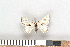  ( - NHMO-06162)  @13 [ ] Unspecified (default): All Rights Reserved  Unspecified Unspecified