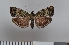  ( - NHMO-06165)  @12 [ ] Unspecified (default): All Rights Reserved  Unspecified Unspecified