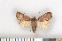  ( - NHMO-07066)  @13 [ ] Unspecified (default): All Rights Reserved  Unspecified Unspecified