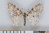  ( - NHMO-08019)  @13 [ ] Unspecified (default): All Rights Reserved  Unspecified Unspecified