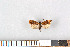  ( - NHMO-08043)  @12 [ ] Unspecified (default): All Rights Reserved  Unspecified Unspecified