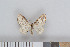 ( - NHMO-08060)  @14 [ ] Unspecified (default): All Rights Reserved  Unspecified Unspecified