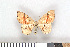  ( - NHMO-08065)  @13 [ ] Unspecified (default): All Rights Reserved  Unspecified Unspecified