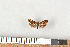  ( - NHMO-08084)  @13 [ ] Unspecified (default): All Rights Reserved  Unspecified Unspecified