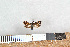  ( - NHMO-08092)  @12 [ ] Unspecified (default): All Rights Reserved  Unspecified Unspecified