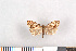  ( - NHMO-08171)  @14 [ ] Unspecified (default): All Rights Reserved  Unspecified Unspecified