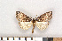  ( - NHMO-08195)  @14 [ ] Unspecified (default): All Rights Reserved  Unspecified Unspecified