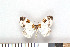  ( - NHMO-08203)  @14 [ ] Unspecified (default): All Rights Reserved  Unspecified Unspecified